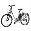 Электровелосипед Maxxter CITY, Silver